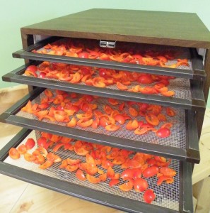 Fresh rosehips ready to go in the dehydrator